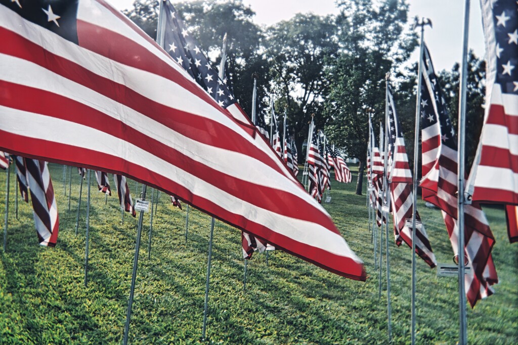 American Flags pexels-tom-fisk-10464161